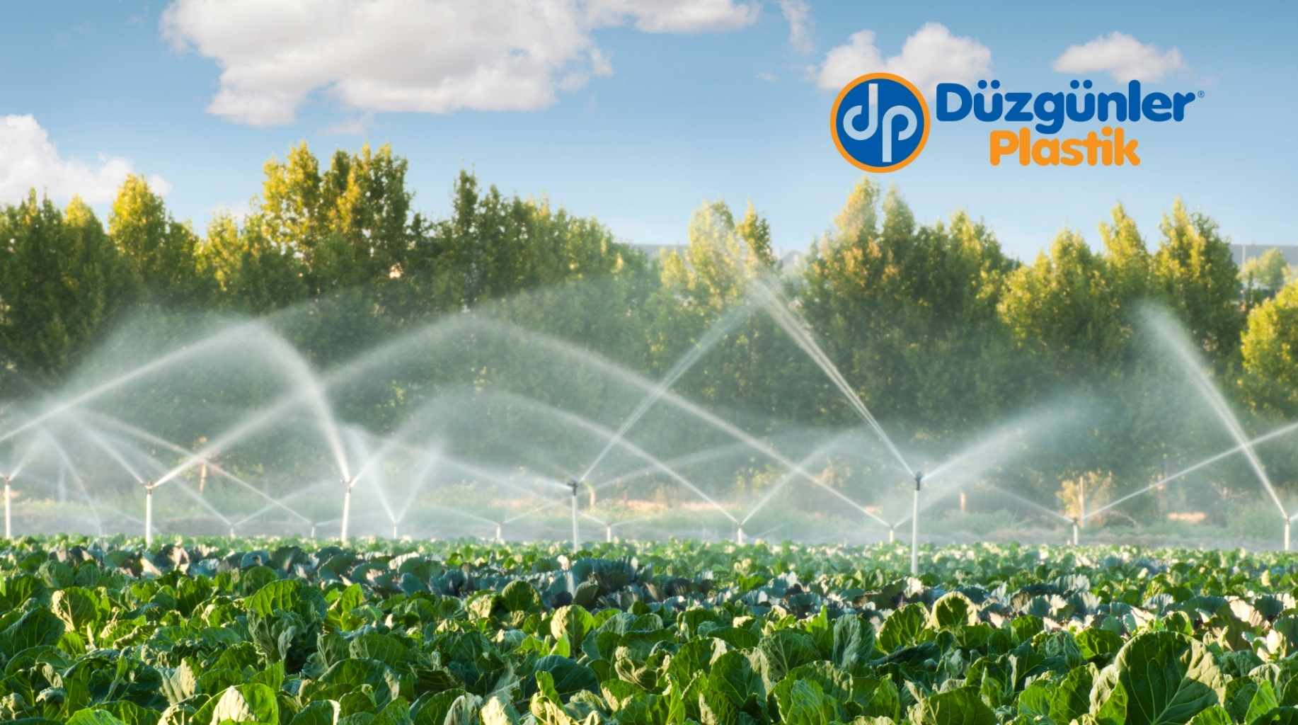 Latched Pipe Systems in Field Irrigation